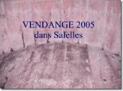 vendange 2005 01